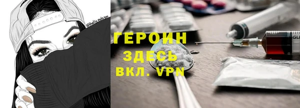 прущие грибы Дмитров