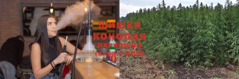 Шишки марихуана OG Kush  Пыталово 